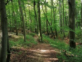 Naturpark Eichenhain, © Wienerwald