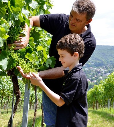 Weinbau Buschenschank VINOtake, © Uschi Oswald