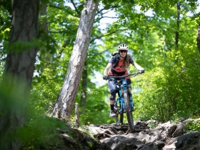 MTB Wienerwald, © Wienerwald Tourismus GmbH / Markus Frühmann