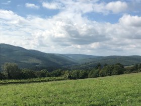 Klosterneuburger Genusstour, © Wienerwald