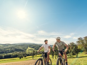 MTB Wienerwald, © Wienerwald Tourismus GmbH / Christoph Kerschbaum